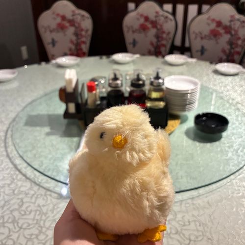 ちゃいなだね