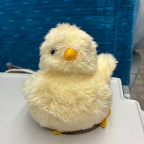 たびはついにおわりをむかえる　ね