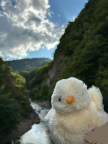 とっても良い景色だね