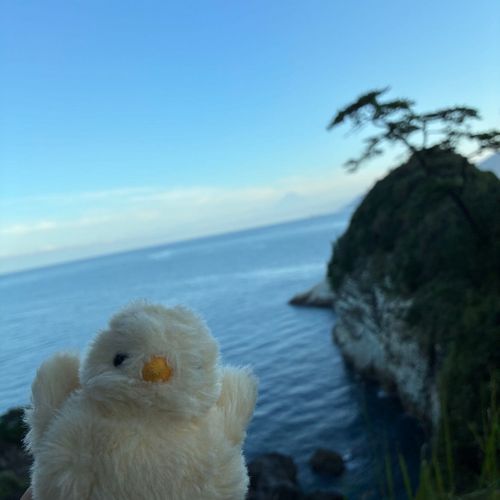 ここで富士山を褒めると怪我するね
怪我したね
