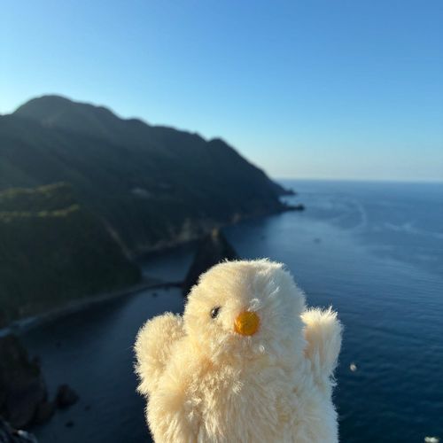 朝日を浴びたね