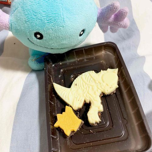 ポケモン発掘ちょこ！ズガイドスだったよ！ウパちゃんにはおててがないから、掘るのはごすじんががんばっていたよ！