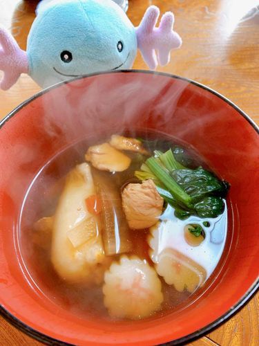 あけましておめでとうございます！！！ことしもよろしくお願いします！

ごすじんのおうちのお雑煮は四角の切り餅に鶏肉大根にんじんほうれんなるとなどのお醤油のやつなんだって。みんなのおうちのおぞうにはどんなやつかな？