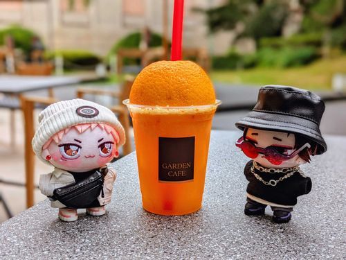 博物館を回ったあとの休憩にオレンジ生絞り🍊ちょっぴーたちの頭にすっぽりハマりそうなくらいの大きさだったよ
