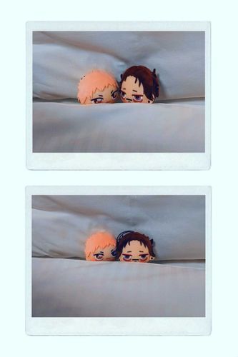 大阪遠征でホテルに泊まった時のちょっぴーたち（邪魔してごめんね💦お兄ちゃん）

一睡もできなくて神経質な人間はつくづく旅行に向かないと痛感、でもいいのそんなことは…目的はしっかり翌日に果たせたので大満足です!!