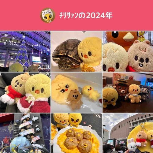 今年は大変ポガポガしました。
来年ももっとポガポガしたいです。
よいお年を〜✨
