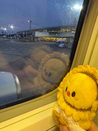 飛行機ｺﾜｲﾖﾈｰ