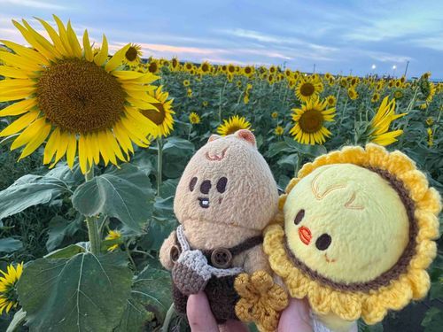 🌻