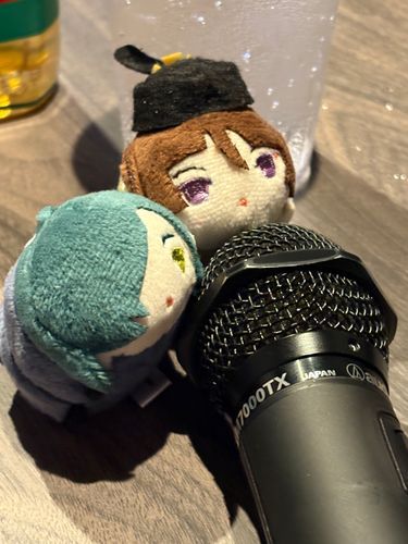 おうたを歌いにきた