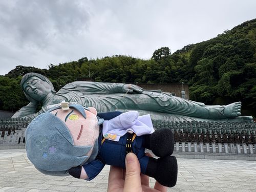 南蔵院！