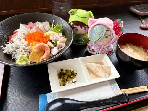 漁港食堂の海鮮丼だよ