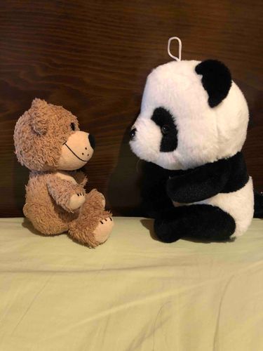 背の高いパンダ🐼と仲良くなったよ！