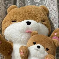 カワ丸・カワ中ちゃん🍑