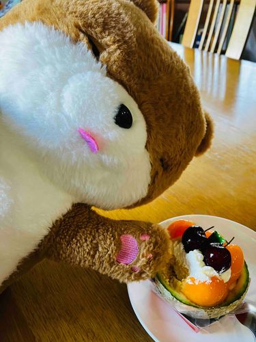 ケーキ食べた！中にスポンジやらカスタードクリームやらが入ってて、とっても美味しかった❣️