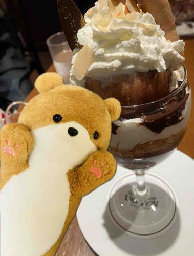 今日はカフェでパフェを食べたよ！ボリューム凄かったけど、、チョコがとっても濃厚で美味しかった！