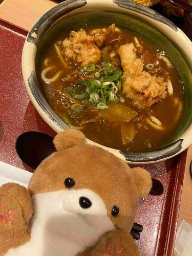 とり天カレーうどん‼️カレーが飛び散らないか心配だけど、僕はもともと茶色だから大丈夫！