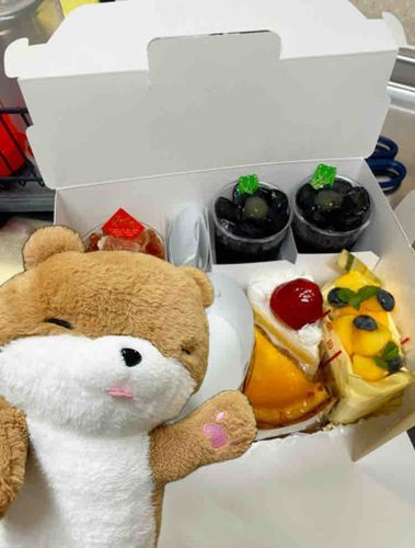 いっぱいのケーキと縮小したぼく！ケーキも可愛い見た目だけど、ぼくの方がかわいいね😍