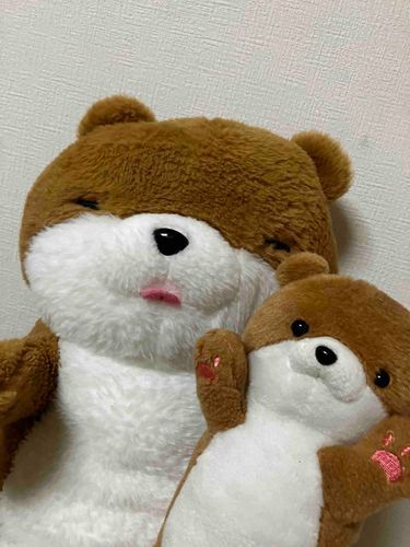 みなさんお久しぶりです。カワ丸・カワ中だよ。しばらく投稿をしてなかったのでこれからまた投稿していくよ。良かったらこれからも仲良くしてね。