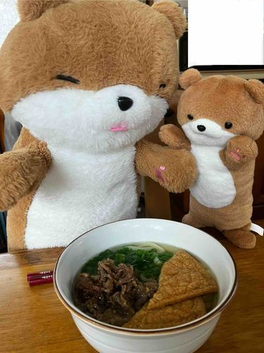 そんな時は肉うどん！お肉とうどんで元気が出るよ〜☺️