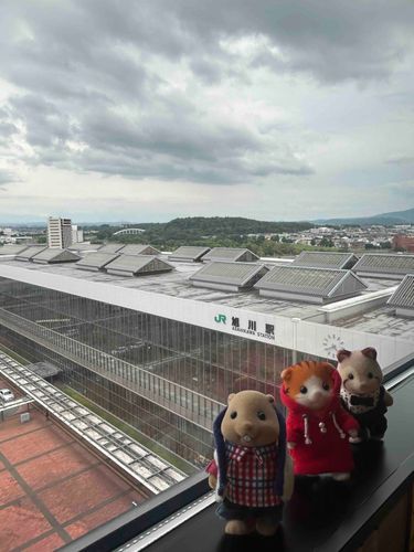 旭川につれてきてもらたよ