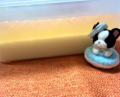 どうも新入りでちゅ

おねえさん、2層のパンナコッタをタッパーで作ったんだって

量多いよ、、全部食べるの？？