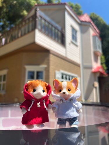 初めてイバライドに来たよ〜

[ちゃーちゃん＆こぎお]