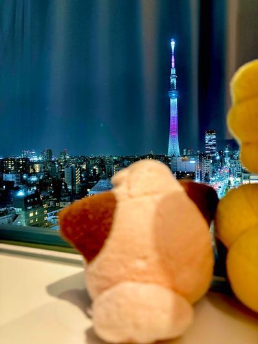 ピカピカひかってきれい🌟
