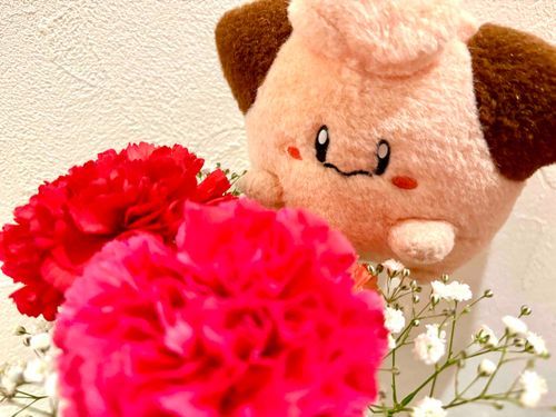 いつもありがとう🌟