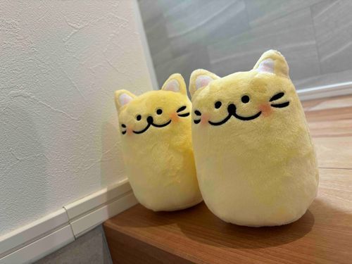 いってらっしゃい！🐱
あついからきをつけてね🐱