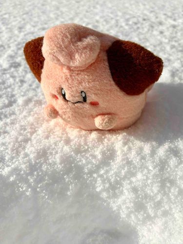 ゆき、たのしかった🌟