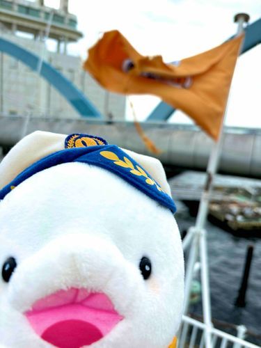 しゅっこ〜う⚓️