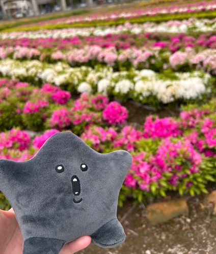 フラワー　ビュリホー　！
ソー　ハピー　！　イェー