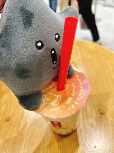 ターピ　ターピ
ヨーカ　ヨーカ　！！