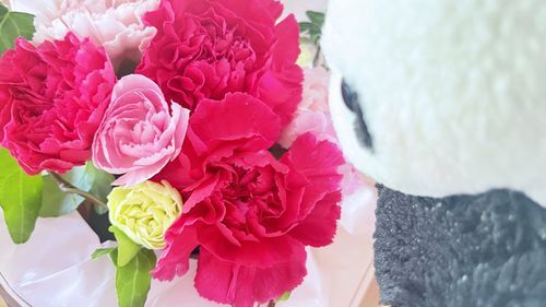 母の日だから実家行ってきたよ🏠🌸