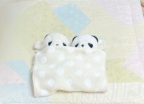 ぱんちゃんとお泊まり会した時の写真📷