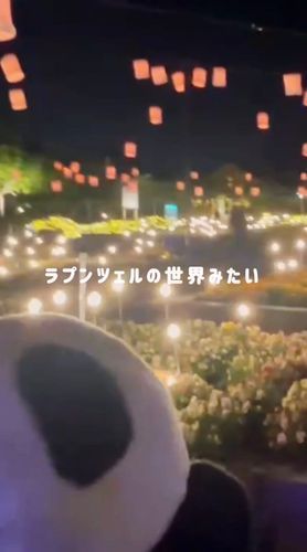 キラキラな世界に行ったよ✨
よかったらYouTube見てね❣️
YouTube→「おいらぱんだ」