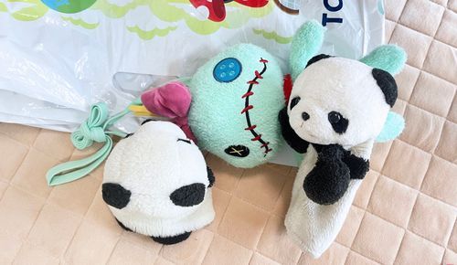 双子の弟ぱんちゃんに会ってきたよ🐼❤️🐼