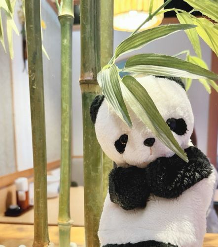短冊の笹は全部ぱんだが食べちゃうよ🎋