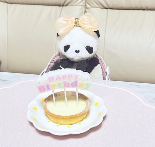 今日は、ぱんだと双子の弟ぱんちゃんの誕生日🎂🎊
今日は小さくお祝いして、また今度ぱんちゃんと一緒にお誕生日会やるんだ🎉✨