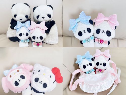 ぱんだとぱんちゃんの、小さな分身が誕生したよー！🐼🐼