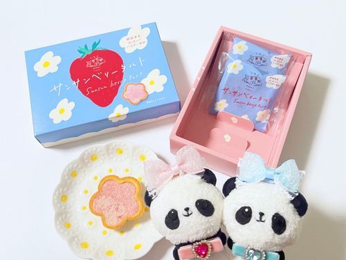 可愛いお土産をもらったよ🍓🌸