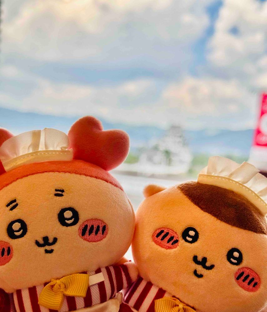 お昼ご飯だよ🥟この席からはなんと！！築城400年オーバーのお城が見えるんだ！！！