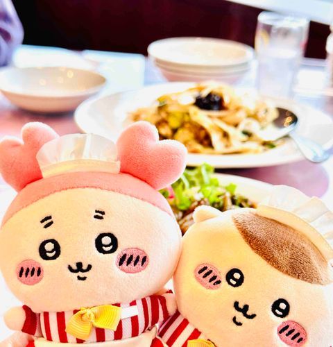 お昼ご飯だよ🥟この席からはなんと！！築城400年オーバーのお城が見えるんだ！！！