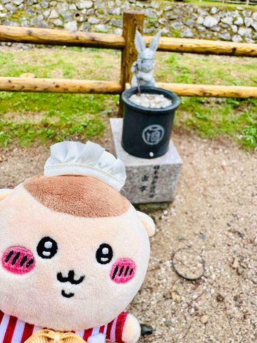 たぶん日本酒の神様🍶