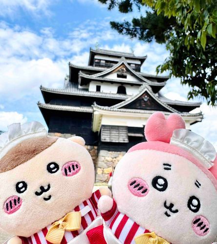 松江城！天守閣は風が気持ちいいね！