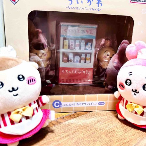まさかお迎えできるなんて！天気のいい日に箱から出そうね！