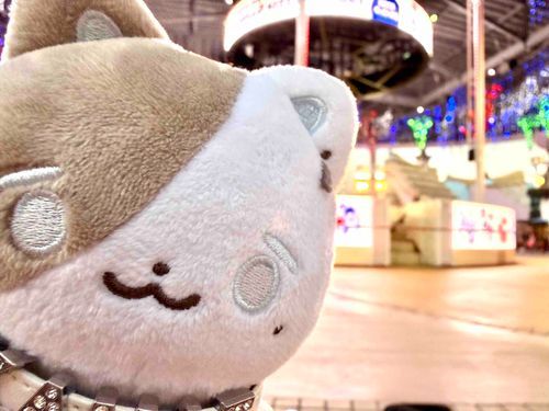 三連休はハーモニーランドに連れて行ってもらったよ🐈