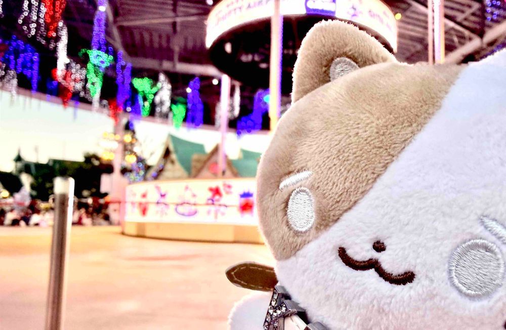 三連休はハーモニーランドに連れて行ってもらったよ🐈