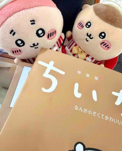 今日はお休みだから読むぞー！島編大好き
