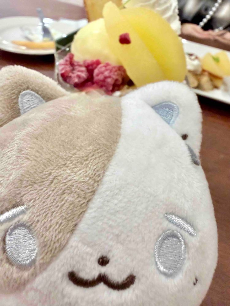 これは持ち主のテンションがおかしくて食欲が暴発した時の写真だよ。かなねこはいつでも可愛いよ( ΦωΦ )